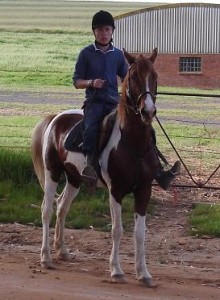 Jenzo Passion Commander