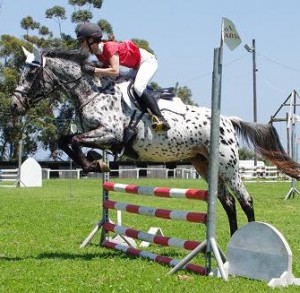 Dam - Painted Azalea