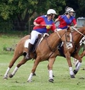 Jenzo Yello Dynamite