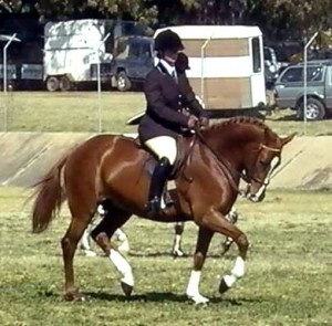 Dam - Grand West Desert Sky