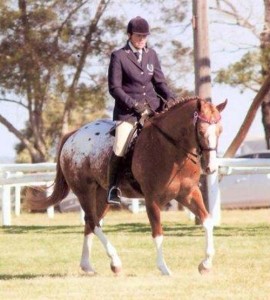 Sire - Millenium Marshall Q