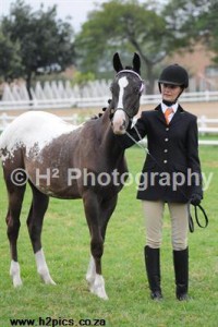 Jenzo Mystical MarshallQ at HOY