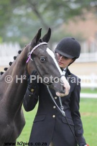 Jenzo Mystical MarshallQ at HOY