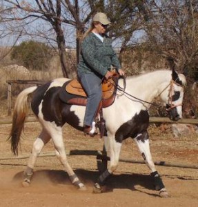 Dam - Cruizers Hustlin Girl