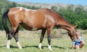 Grand Dam - Blue Gum Mirror Image