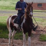 Jenzo Passion Commander