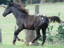 PAINTED STARRY STARRY NIGHT