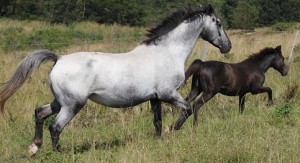 PAINTED STARRY STARRY NIGHT