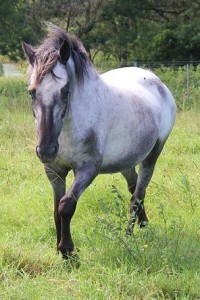 PAINTED STARRY STARRY NIGHT