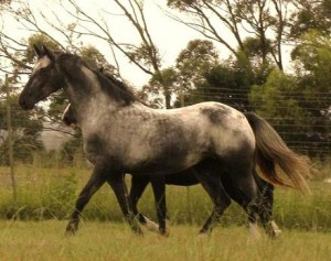 PAINTED STARRY STARRY NIGHT